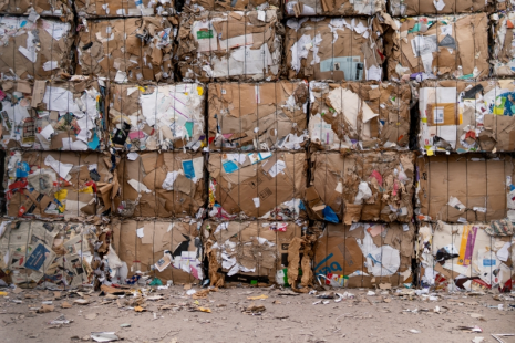 貓先生互聯(lián)網(wǎng)廢品回收加盟，智能收廢品，回收加盟廠家